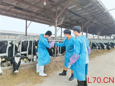 科技小院飘奶香