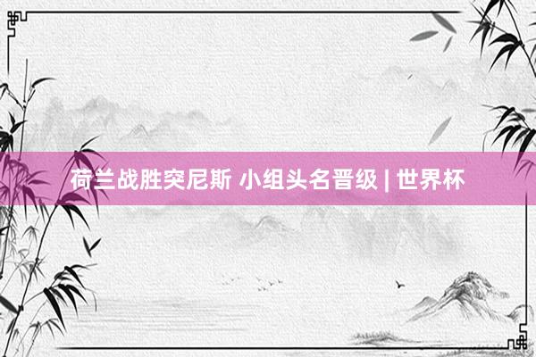 荷兰战胜突尼斯 小组头名晋级 | 世界杯