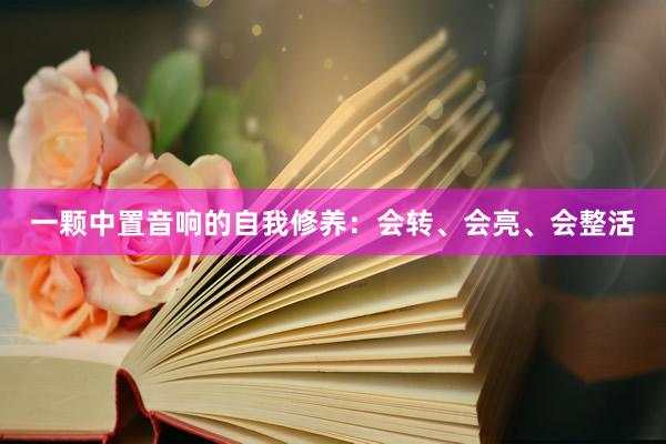 一颗中置音响的自我修养：会转、会亮、会整活