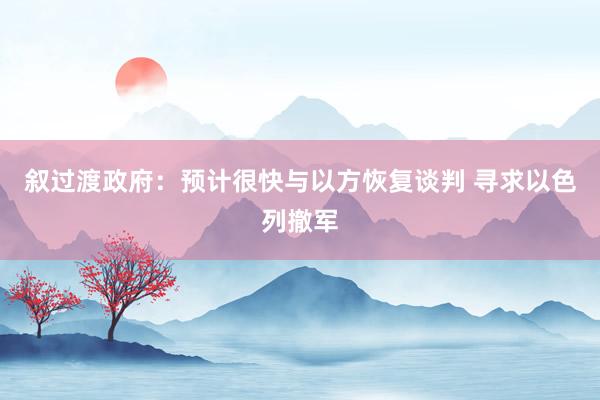 叙过渡政府：预计很快与以方恢复谈判 寻求以色列撤军