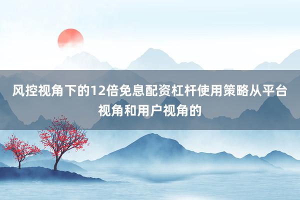 风控视角下的12倍免息配资杠杆使用策略从平台视角和用户视角的