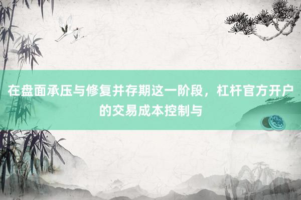 在盘面承压与修复并存期这一阶段，杠杆官方开户的交易成本控制与