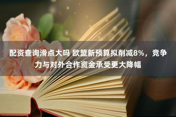 配资查询滑点大吗 欧盟新预算拟削减8%，竞争力与对外合作资金承受更大降幅