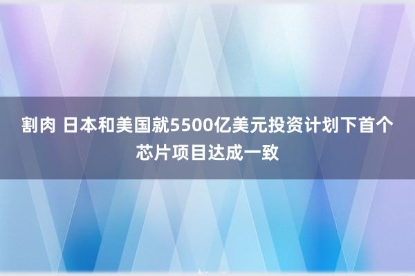 割肉 日本和美国就5500亿美元投资计划下首个芯片项目达成一致
